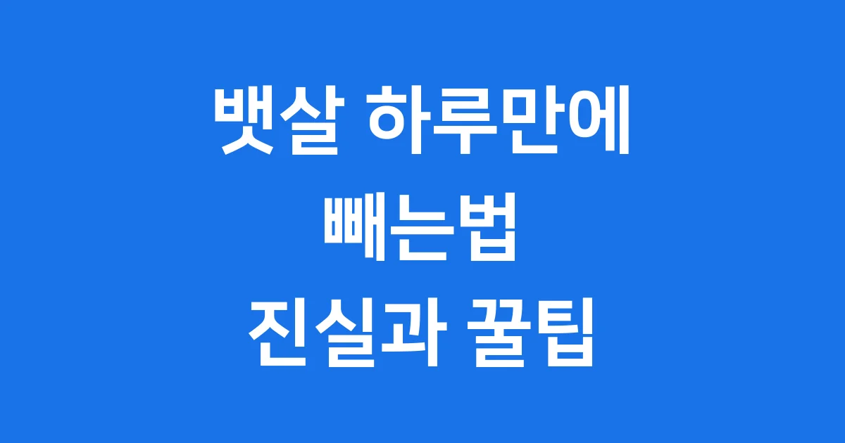 뱃살 하루만에 빼는법 진실 꿀팁