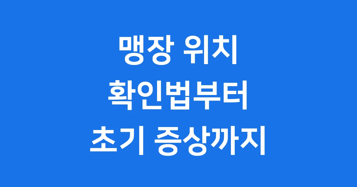 맹장 위치 확인법: 남자 여자 초기증상까지 알아봅니다