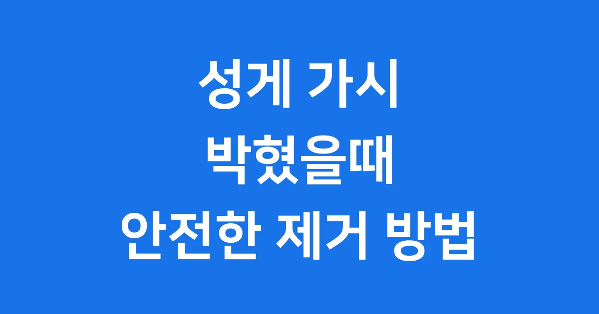 성게 가시 박혔을때 안전한 제거 방법